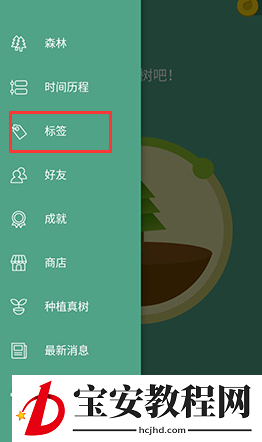 forest如何清理标签?forest清理标签步骤教程
