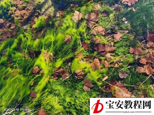 iQOO9Pro摄像头怎么样?iQOO9Pro摄像头介绍