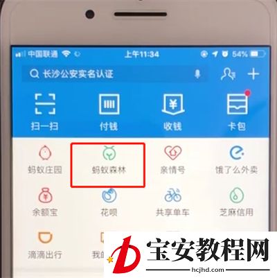 支付宝蚂蚁森林中申请种树的操作教程