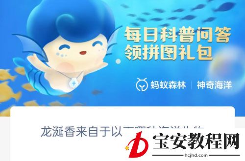 龙涎香来自于以下哪种海洋生物