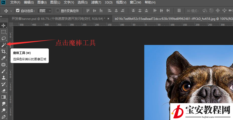 分享教你用PS魔棒工具来抠图。
