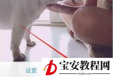 荣耀畅玩8c设置抖音动态壁纸的详细步骤