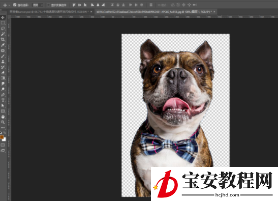 分享教你用PS魔棒工具来抠图。