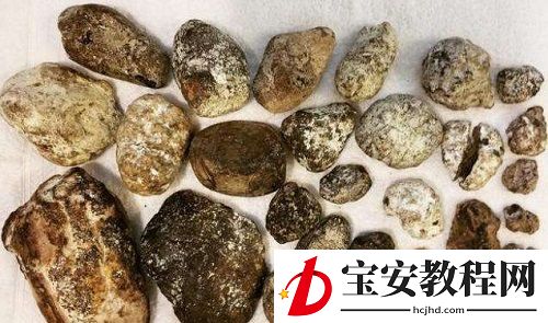 龙涎香来自于以下哪种海洋生物