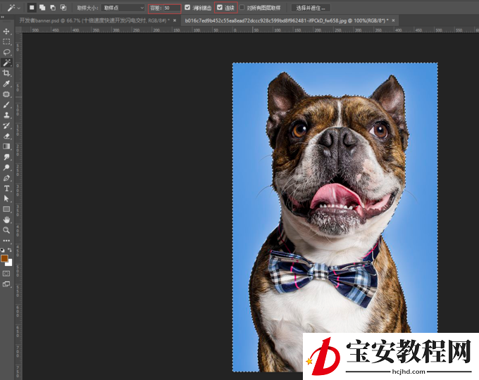 分享教你用PS魔棒工具来抠图。