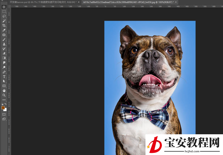 分享教你用PS魔棒工具来抠图。