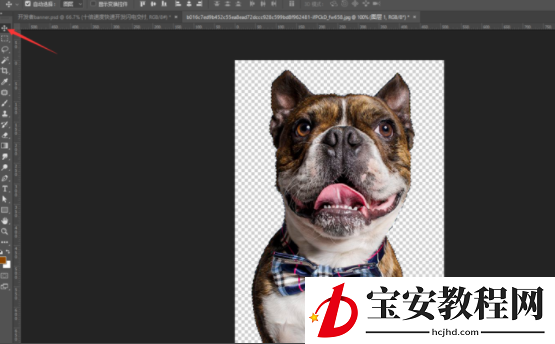 分享教你用PS魔棒工具来抠图。