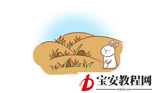 在投资学中狡兔三窟是为了什么