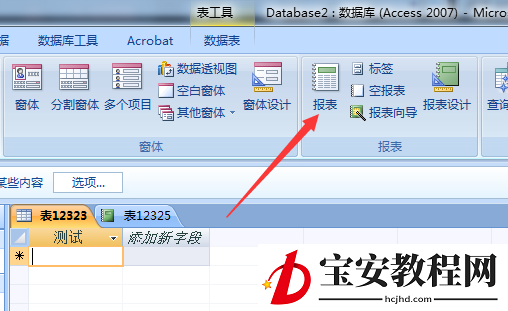 access数据库修改报表微标的操作方法
