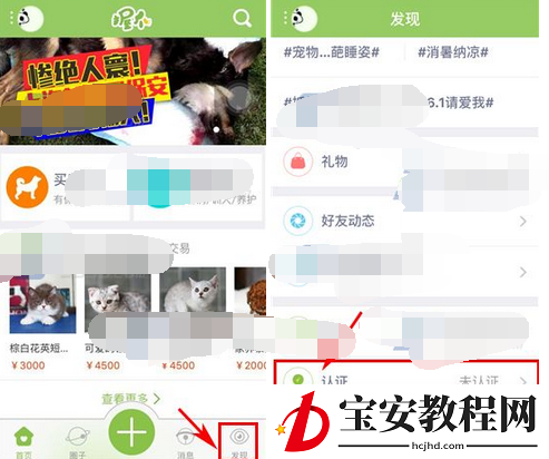 握爪宠物申请认证的简单操作